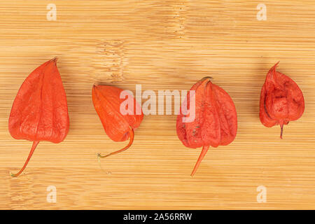 Groupe de quatre entiers et frais flatlay physalis orange sur des meubles en bois Banque D'Images