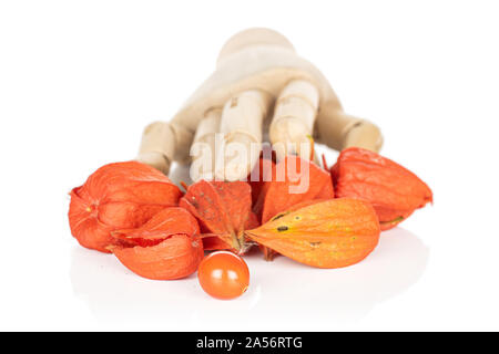 Beaucoup d'orange frais entier physalis avec main en bois isolé sur fond blanc Banque D'Images