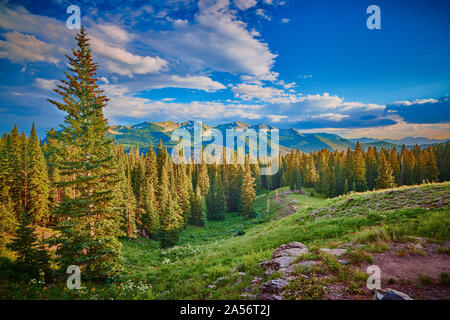 Pré alpin, au-dessus du lac Irwin. Banque D'Images