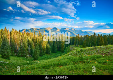 Pré alpin, au-dessus du lac Irwin. Banque D'Images