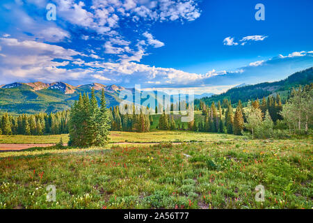 Pré alpin, au-dessus du lac Irwin. Banque D'Images