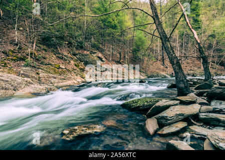 Au-dessus des rapides bébé tombe sur la rivière Tellico, TN # 1. Banque D'Images