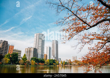 Le parc Ueno Shinobazu pond et bâtiments modernes à l'automne à Tokyo, Japon Banque D'Images