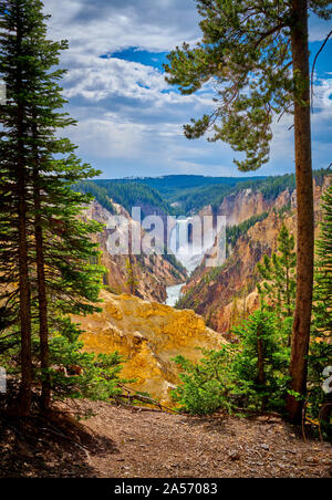 Veiw de Yellowstone Falls inférieur à travers les arbres avec le Grand Canyon du Yellowstone Parc National de Yellowstone, Wyoming, USA. Banque D'Images