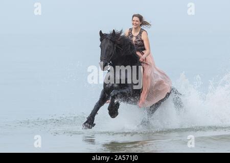 Des promenades en cheval frison femme Banque D'Images