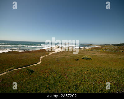 Vues à partir de la 17-Mile Drive, une route pittoresque à travers Pacific Grove et plage de galets sur la péninsule de Monterey en Californie Banque D'Images