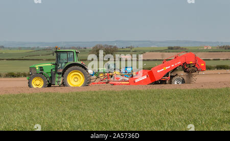 Sol de-lapidation et la préparation du lit de semence en premier plan avec la plantation de pommes de terre au soleil du printemps brumeux derrière Banque D'Images