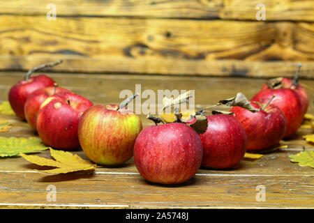 Composition de fruits rouges pommes sur un arrière-plan flou Banque D'Images