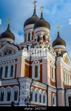 La cathédrale Alexandre Nevsky catholique dans la vieille ville de Tallinn, Estonie Banque D'Images