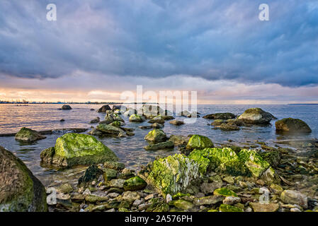 Plage de la mer Baltique à Tallinn Estonie Banque D'Images