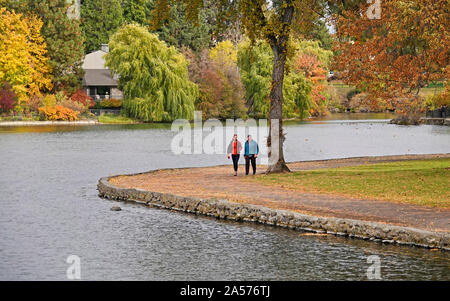 Le saule, le peuplier faux-tremble et peuplier transformer l'or et rouge le long de la rivière Deschutes dans le centre-ville de Bend, Oregon, à l'automne lors de la mi-octobre. Banque D'Images