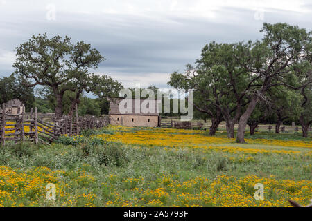 Champ de fleurs éclatantes dans le Lyndon B. Johnson National Historical Park à Johnson City, Texas Banque D'Images