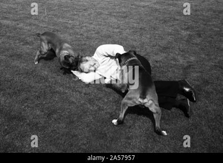 John Surtees jouant avec ses chiens de compagnie à la maison 1966. Banque D'Images