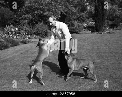 John Surtees jouant avec ses chiens de compagnie à la maison 1966. Banque D'Images