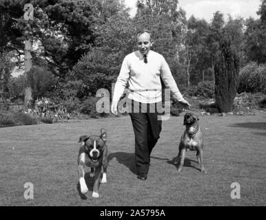 John Surtees jouant avec ses chiens de compagnie à la maison 1966. Banque D'Images