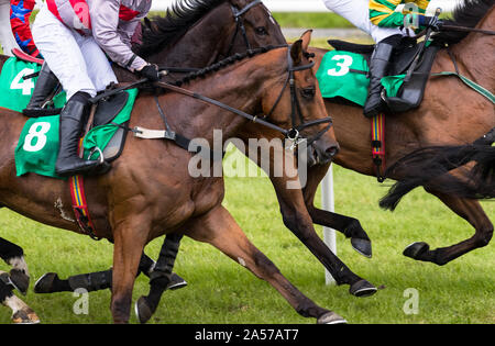 Close up on groupe des jockeys et chevaux de course racing sur la voie Banque D'Images