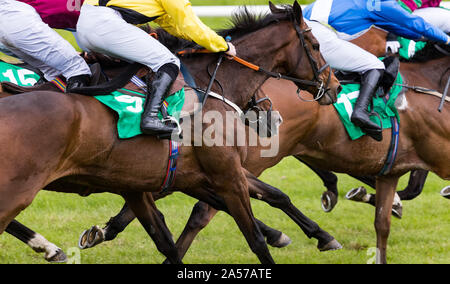 Close up on groupe des jockeys et chevaux de course racing sur la voie Banque D'Images