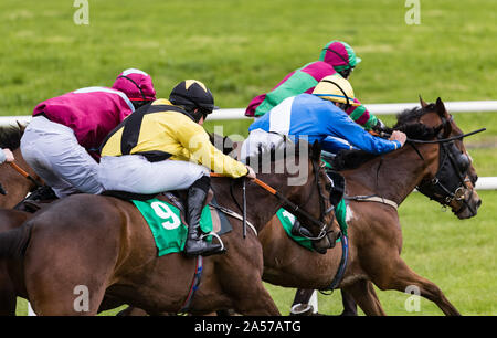 Close up on groupe des jockeys et chevaux de course racing sur la voie Banque D'Images