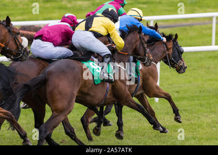 Close up on groupe des jockeys et chevaux de course sprint vers la ligne d'arrivée Banque D'Images