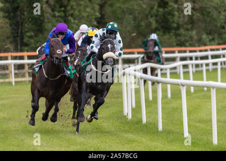 Conduire la race horse and jockey en prenant le dernier virage sur la piste de course vers la ligne d'arrivée Banque D'Images