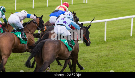 Close up on groupe des jockeys et chevaux de course galopant vers la ligne d'arrivée Banque D'Images