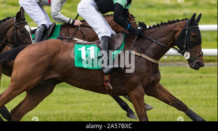 Close up on groupe des jockeys et chevaux de course racing sur la voie Banque D'Images