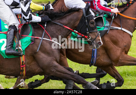 Close up on groupe des jockeys et chevaux de course racing sur la voie Banque D'Images