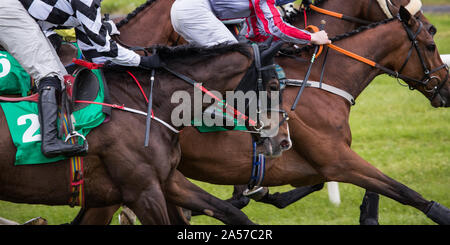 Close up on groupe des jockeys et chevaux de course racing sur la voie Banque D'Images