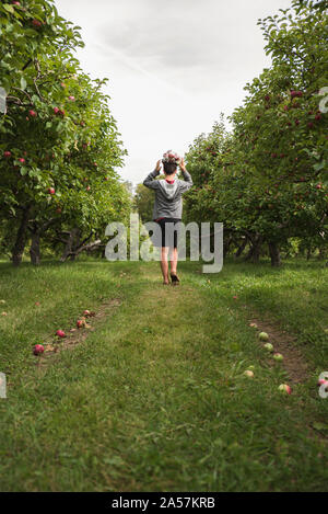 Teen boy balancing sac de pommes sur la tête de marcher dans un verger. Banque D'Images