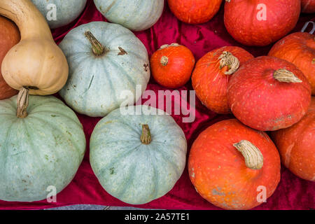 Citrouilles ornementales sur le matériel du marché Banque D'Images