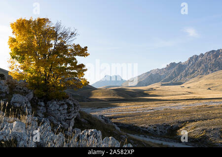 Feuillage de l'automne dans le Gran Sasso et le parc national des montagnes de Laga en Italie Banque D'Images