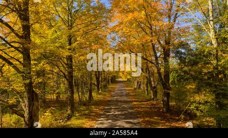 Desolate country road a laisse tomber en automne, New York Banque D'Images