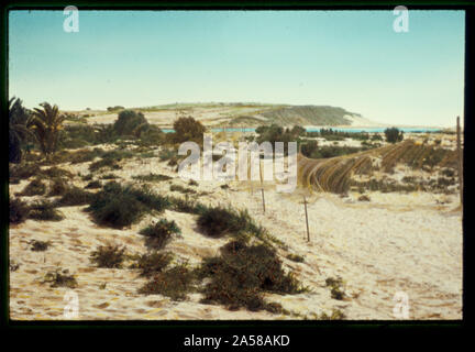 Types et de caractère, etc. les trémails pour cailles migrateurs snaring Banque D'Images