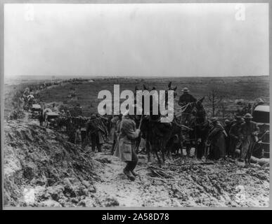 US Army en France - mule-wagons de munitions tirées coincé dans la boue Banque D'Images