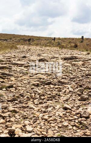 Caminho de Pedras, chemin de Pierre, Canyon Fortaleza, Parque Nacional da Serra Geral, Cambará do Sul, Rio Grande do Sul, Brésil. Banque D'Images