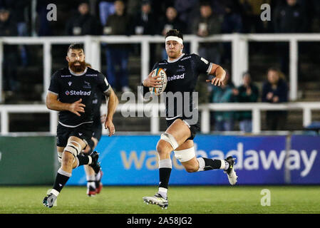 Newcastle, Royaume-Uni. 15 Sep, 2019. NEWCASTLE Upon Tyne, Angleterre 18 octobre Sean Robinson de Newcastle Falcons durant la Greene King IPA match de championnat entre Newcastle Falcons et Hartpury College de Kingston Park, Newcastle Le vendredi 18 octobre 2019. (Crédit : Chris Lishman | MI News) Editorial Utilisez uniquement Crédit : MI News & Sport /Alamy Live News Banque D'Images