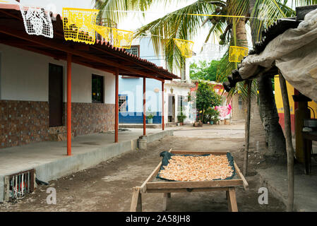 Crevettes (crevettes) sécher sur les rues de Mexcaltitán, Nayarit, Mexique. Les crevettes et de la pêche sont la principale industrie du petit village de l'île. Jul 2019 Banque D'Images