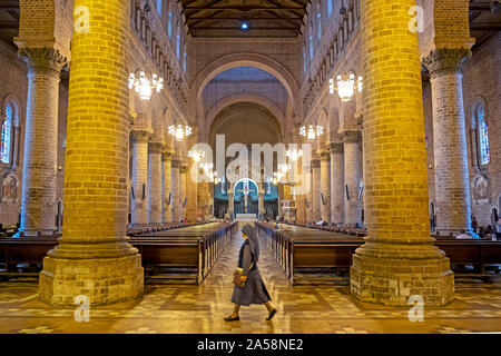 Catedral Basílica Metropolitana de Medellín, Cathédrale, Medellin, Colombie Banque D'Images