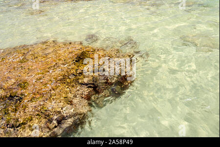 Un fond de sable blanc dans le Salento belle plage de sable, Pouilles Italie Banque D'Images