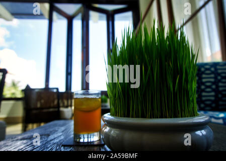 Petite plante en pot à côté du thé glacé avec une fenêtre ouverte. Cette photo a été prise lors d'un voyage au centre du Vietnam, l'automne de 2019. Banque D'Images