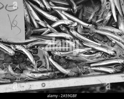 Les poissons exposés à Medterranean seamarket ouvert, Naples Banque D'Images