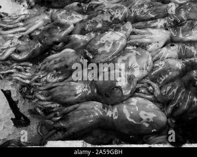 Les poissons exposés à Medterranean seamarket ouvert, Naples Banque D'Images