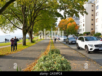 Beach Avenue, à l'extrémité ouest de Vancouver, à l'automne 2019. Les gens qui marchent et qui apprécient un après-midi d'automne près de la baie English, près du parc Stanley. Banque D'Images