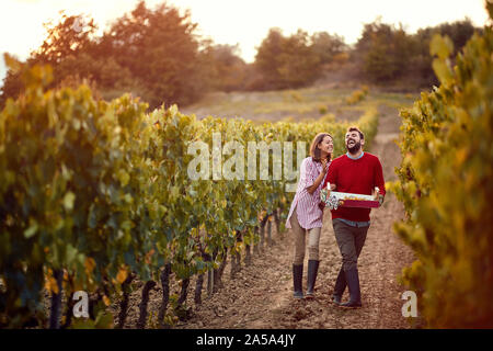 Le vin et le raisin. Smiling man and woman walking in vignerons entre les rangées de vignes. Banque D'Images