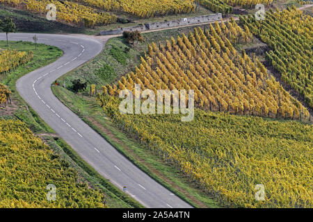 La Route des Vins (Route des Vins) vents entre les vignobles d'Alsace Banque D'Images