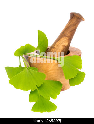 Plantes médicinales : gingko bilboa (ginko) avec mortier sur fond blanc Banque D'Images