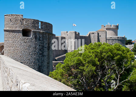 Croatie : Les Murs de Dubrovnik avec vue sur la Tour Minceta. C'est le point le plus important dans le système défensif vers la terre Banque D'Images