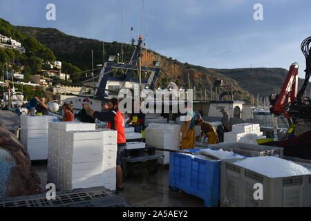 Boîtes de sardines fraîchement pêchés et de glace d'être déchargé d'un chalutier de pêche, avec les pêcheurs en bateau sur les cirés en arrière-plan, Javea, Espagne Banque D'Images