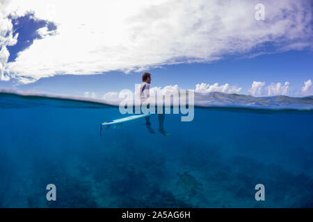 Une image fractionnée d'un surfer (MR) est en attente de la prochaine vague comme une tortue verte, Chelonia mydas, une espèce en voie de disparition, passe sous l'eau, Hawaii. Banque D'Images