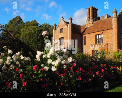 Chenies Manor House face à l'ouest.Beau temps, ciel bleu et d'anciennes briques apparentes dans le soleil avec colouful dahlias, cosmos et de roses en pleine floraison.. Banque D'Images